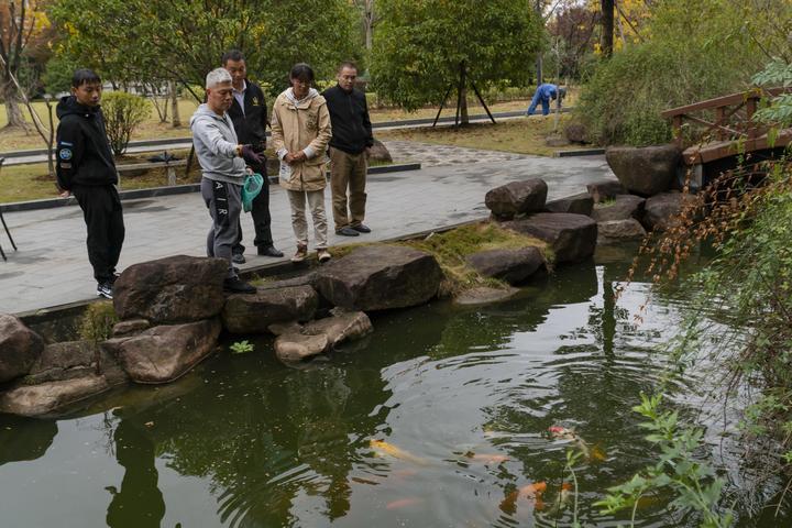 浙江鱼塘最新出租，机遇与挑战并存的水产养殖业新篇章