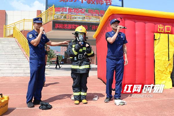 茶陵红网最新动态，探索与发展