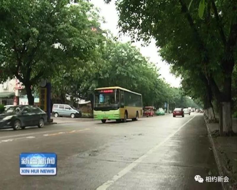 新会新开公路改线最新动态